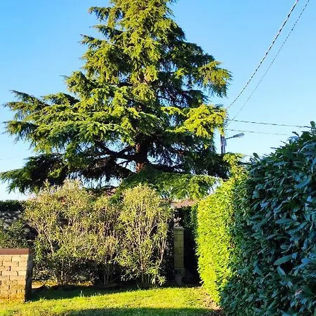 ベッド・アンド・ブレックファスト Il Cedro San Pièr d'Isonzo
